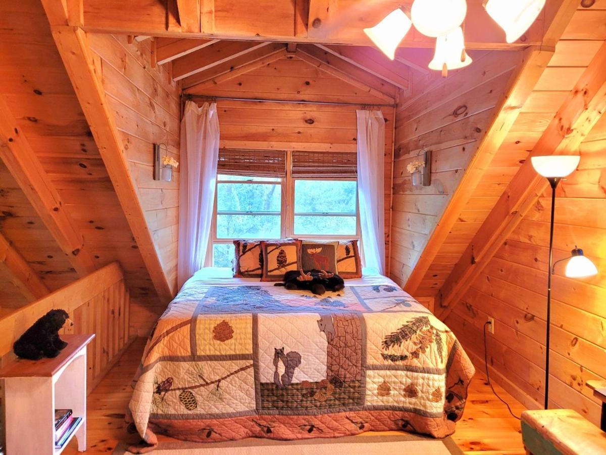 Luxury Cabin With Waterview And Privacy, Hiking Blue Ridge Exterior foto
