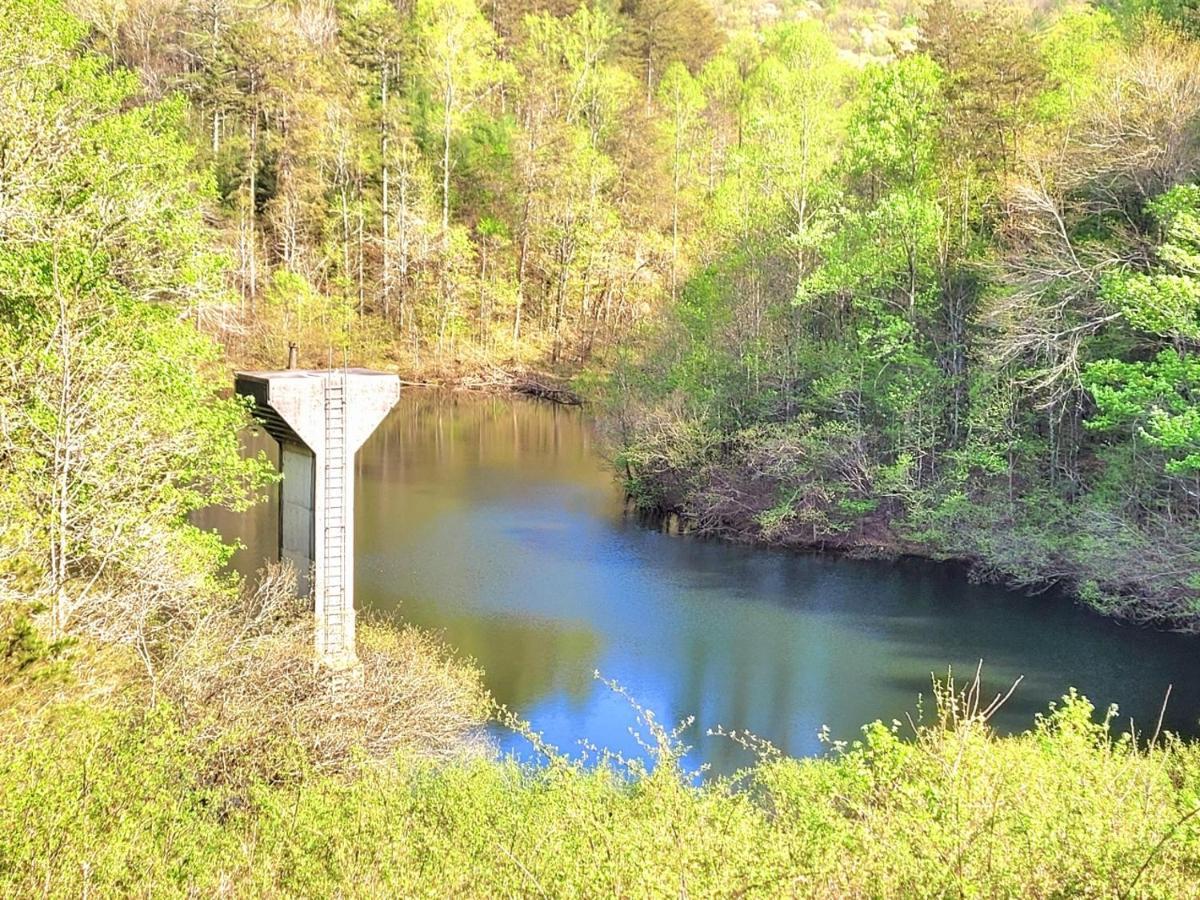 Luxury Cabin With Waterview And Privacy, Hiking Blue Ridge Exterior foto